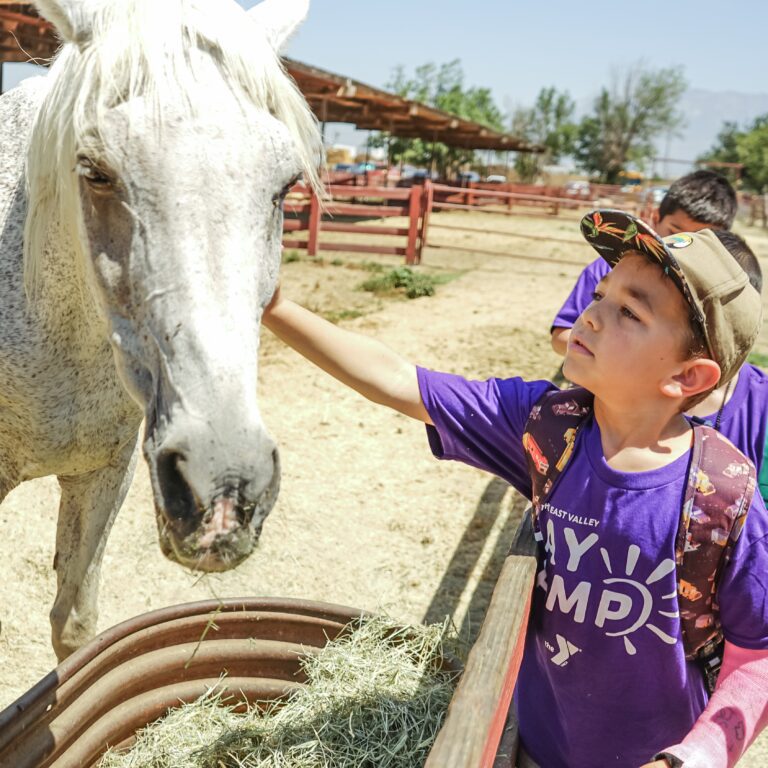 Day Camp | YMCA Of The East Valley